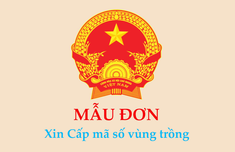 mau-don-xin-cap-ma-so-vung-trong