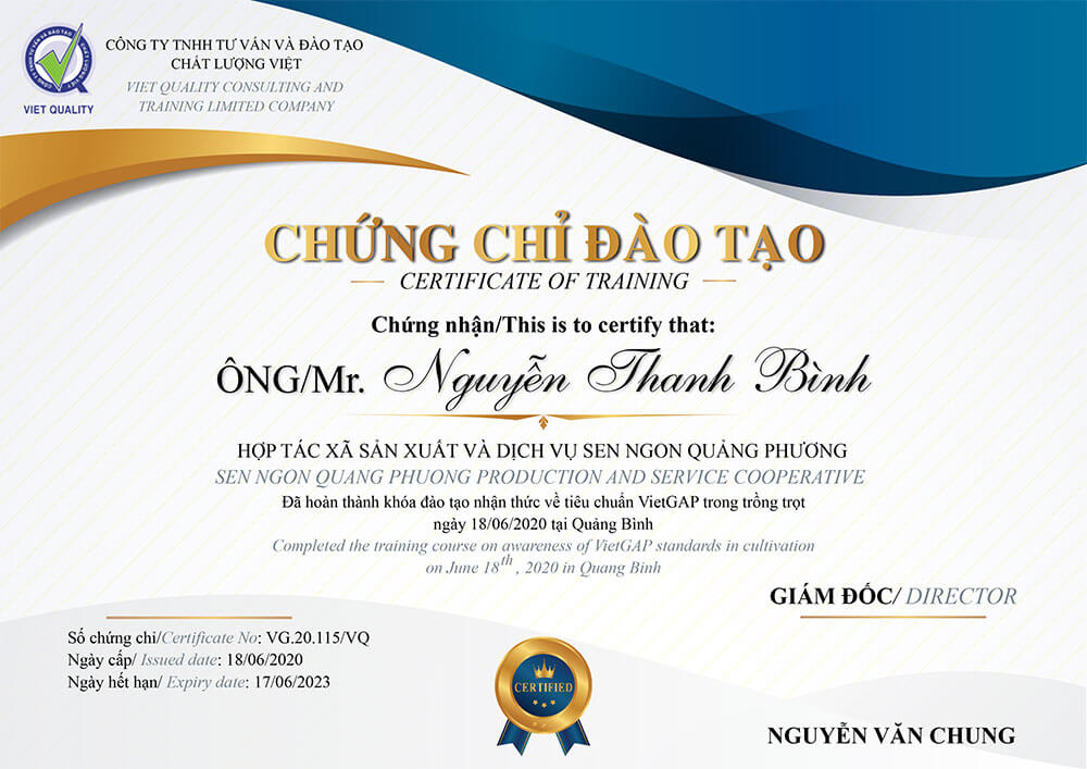 chat-luong-viet-tu-van-chung-nhan-vietgap-trong-trot-cho-htx-sen-ngon-quang-phuong