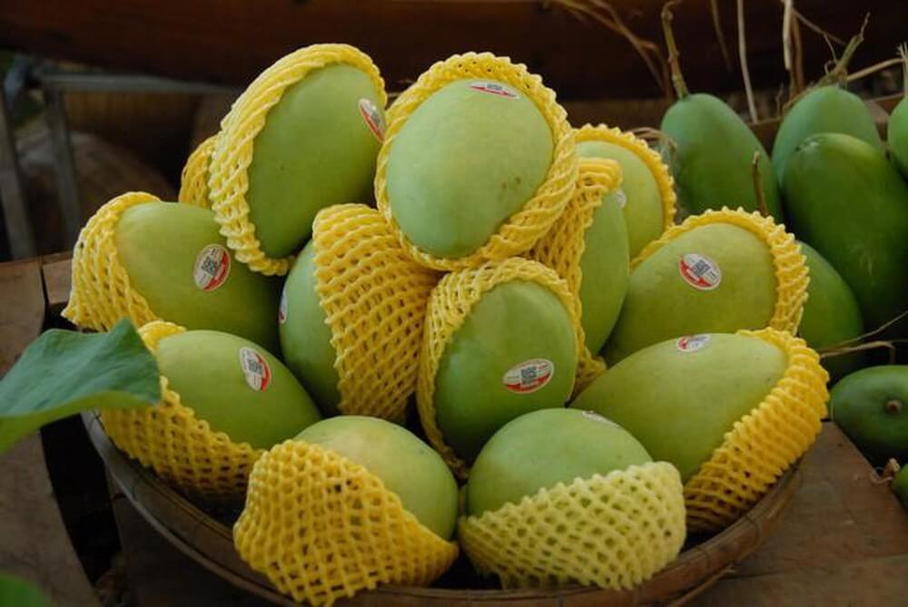 ma-so-vung-trong-dieu-kien-xuat-khau-nong-san-viet-nam