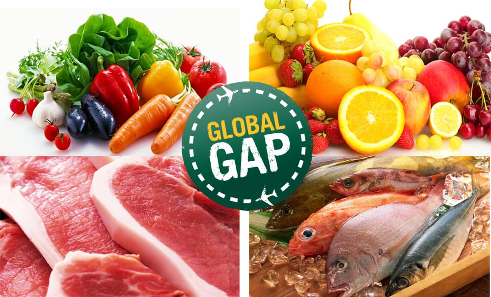đào tạo chứng nhận global gap