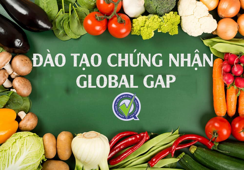 GlobalGAP | Chất Lượng Việt
