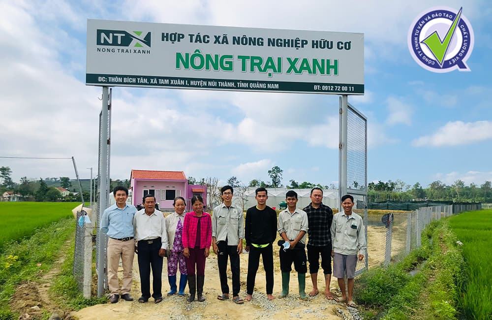 chat-luong-viet-tu-van-chung-nhan-huu-co-cho-htx-nong-trai-xanh