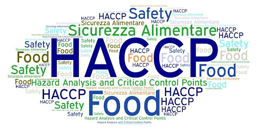 chat-luong-viet-tu-van-haccp-tai-hue-one-food