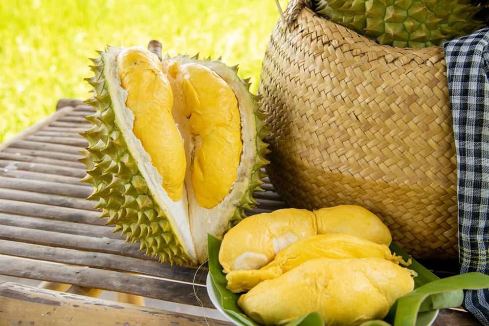 nghi-dinh-thu-ve-kiem-dich-thuc-vat-sau-rieng-xuat-khau-sang-trung-quoc