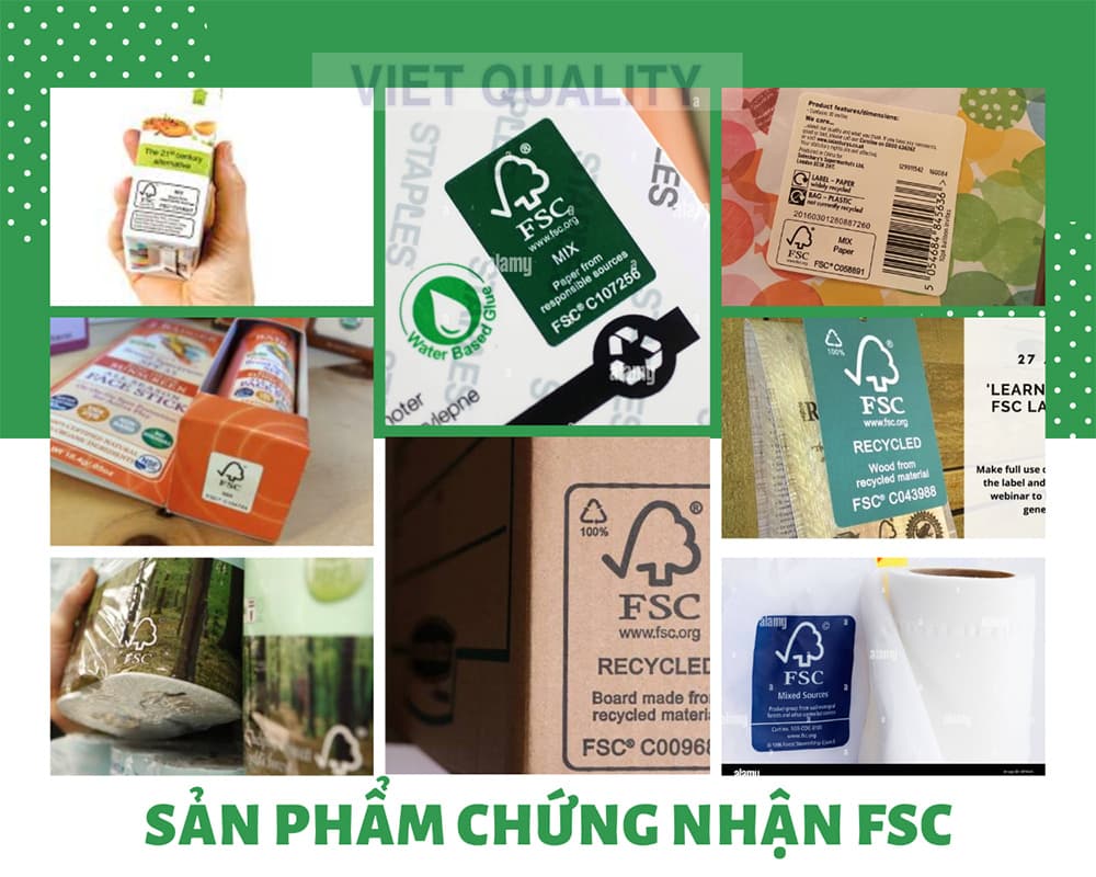 nha-may-san-xuat-van-phong-pham-co-can-chung-nhan-fsc