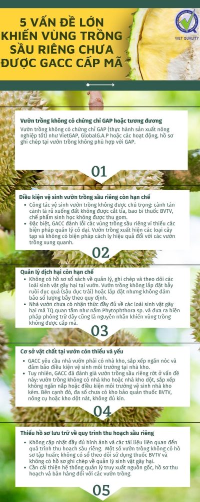 tai-sao-sau-rieng-chua-duoc-cap-ma-vung-trong