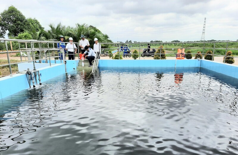 Đối tượng cần đánh giá tác động của môi trường 