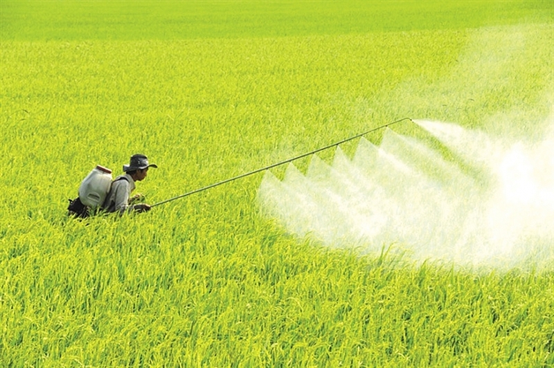 Nguyên nhân chính gây phát thải khí nhà kính
