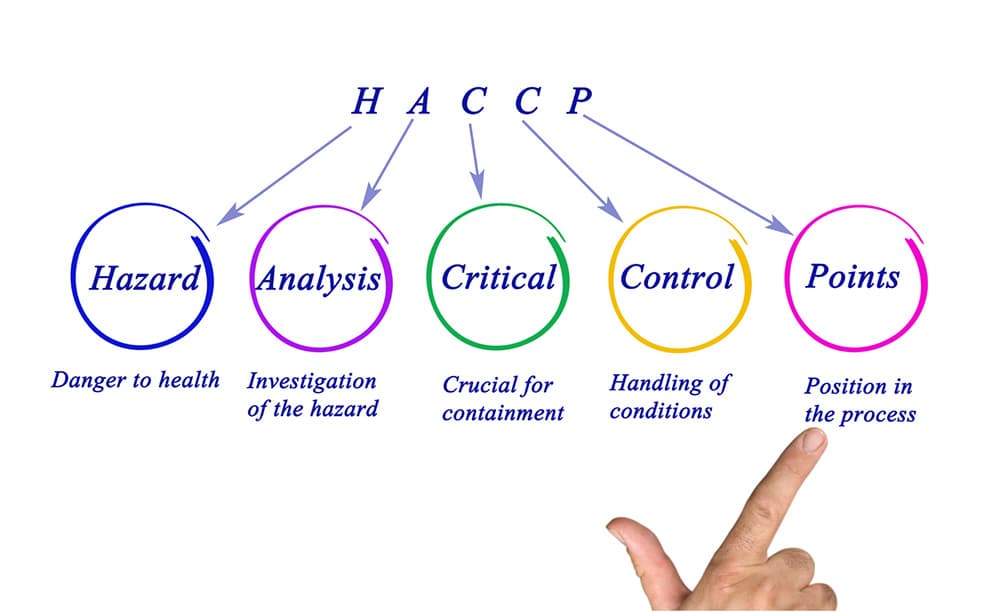 nang-cap-chung-nhan-haccp-codex-2020-theo-tcvn-5603-2023 nang-cap-chung-nhan-haccp-codex-2020-theo-tcvn-5603-2023